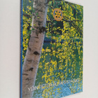 Ydintietoa rotarysta 2002 - pikkukuva 1