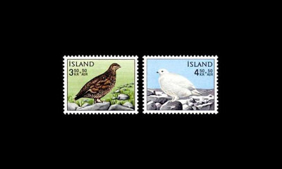 Islanti 388-9 ** LIntu riekko (1965)