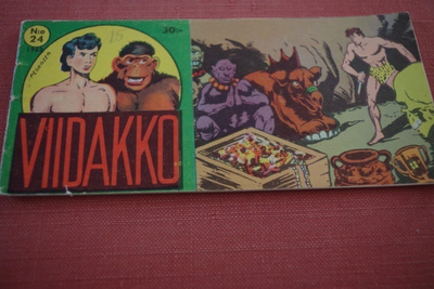 Viidakko 24 /1962