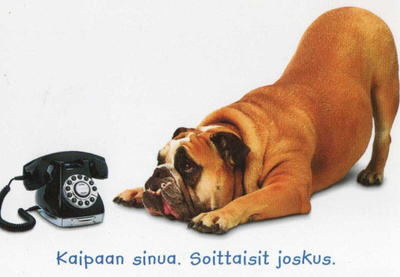 KOIRA POSTIKORTTI  -  HALLMARK/PALETTI