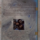 Enki Bilal : Hirviön uni - pikkukuva 2