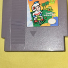 Nintendo 1985 Nes Dig Dug 2 Trouble In Paradise peli L rare - pikkukuva 1