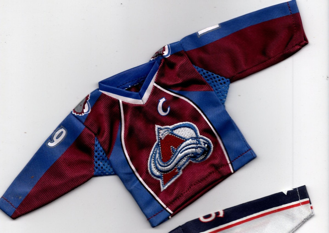 Joe Sakic Colorado 07-08 Upper Deck Mini Jersey