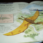 MY FIRST DINOSAUR ENCYCLOPEDIA English - pikkukuva 2