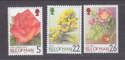 Isle of Mann 1998 Kukkia