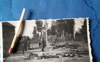 sotavalokuva vuoksenranta on vallattu