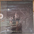 LEEVI AND THE LEAVINGS - RAPARPERITAIVAS LP - pikkukuva 2