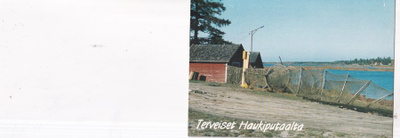 Haukipudas, kirkkoranta b593