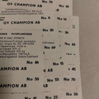 19 kpl champpion lentokonesarja - pikkukuva 2