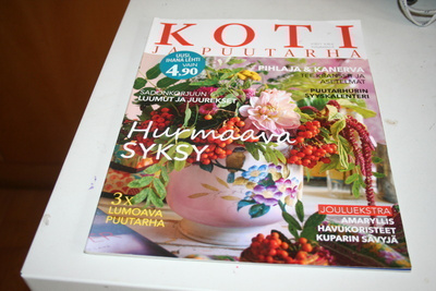 Koti ja puutarha 2/2011