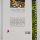 Sienimetsästä markkinoille - pikkukuva 2