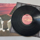 John Fogerty : LP Eye Of The Zombie (1986) - pikkukuva 2