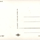 BERNINPAIMENKOIRA POSTIKORTTI - PLANET VERLAG - pikkukuva 2