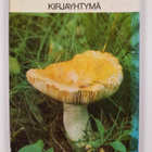 Kalervo Eriksson : Käytännön sieniopas - pikkukuva 2