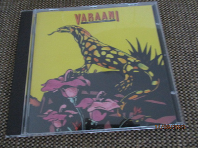 J. Karjalainen ja Mustat Lasit VARAANI