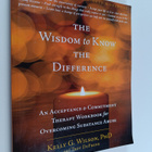 Kelly G. Wilson ym. : The Wisdom to Know the Difference :... - pikkukuva 1