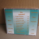 Pia Skibdahl:Sacred songs cd - pikkukuva 2