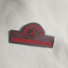 Mitsubishi fan club rintaneula Drivers Club - pikkukuva 1