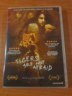 Tigers are not afrait