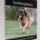 Leonberginkoira - pikkukuva 1