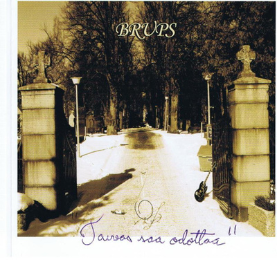 BRUPS taivas saa odottaa CDEP -2006- vaasan 77 punkit