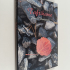 Paula Vartiainen : Taftihame - pikkukuva 1