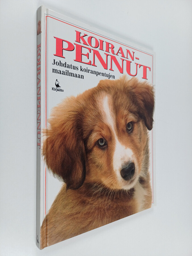 Koiranpennut : johdatus koiranpentujen maailmaan