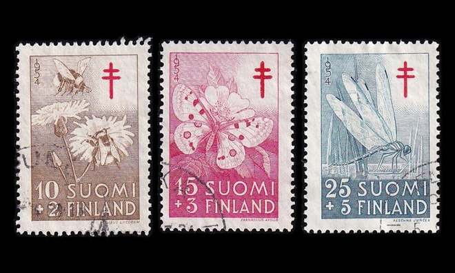 434-6 o Tuberkuloosi hyönteisiä (1954)