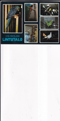 Heinola. Lintutalo , sommitelmakortti b704