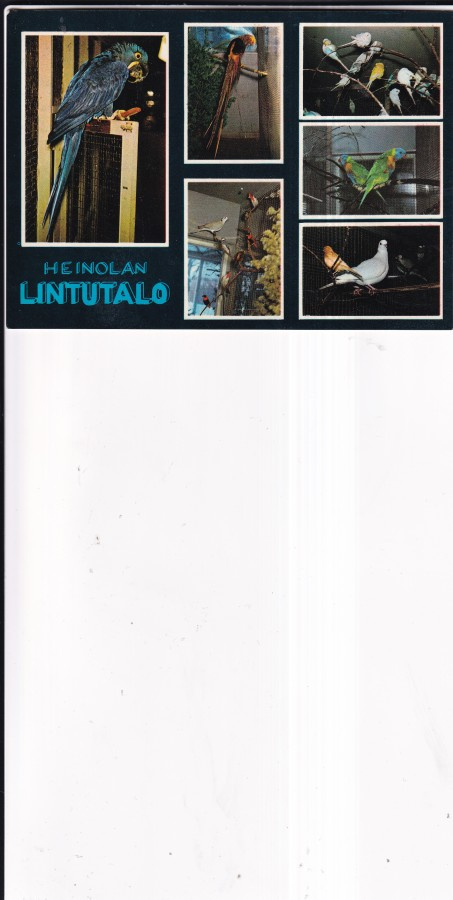 Heinola. Lintutalo , sommitelmakortti   b704