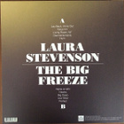LAURA STEVENSON: The Big Freeze LP - pikkukuva 2
