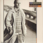 AL DI MEOLA :: TIRAMI SU :: VINYYLI  LP   1987 - pikkukuva 1