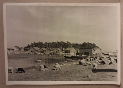 Kotka: Kaunissaaren Maja o (653)