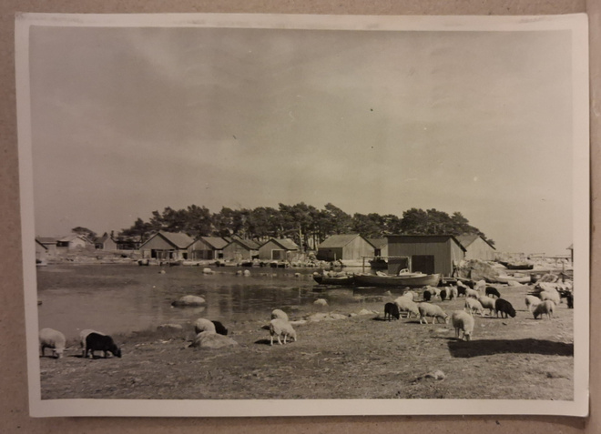 Kotka: Kaunissaaren Maja o (653)