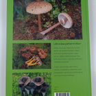 Mauri Korhonen : Sienet ja sieniherkut - pikkukuva 2