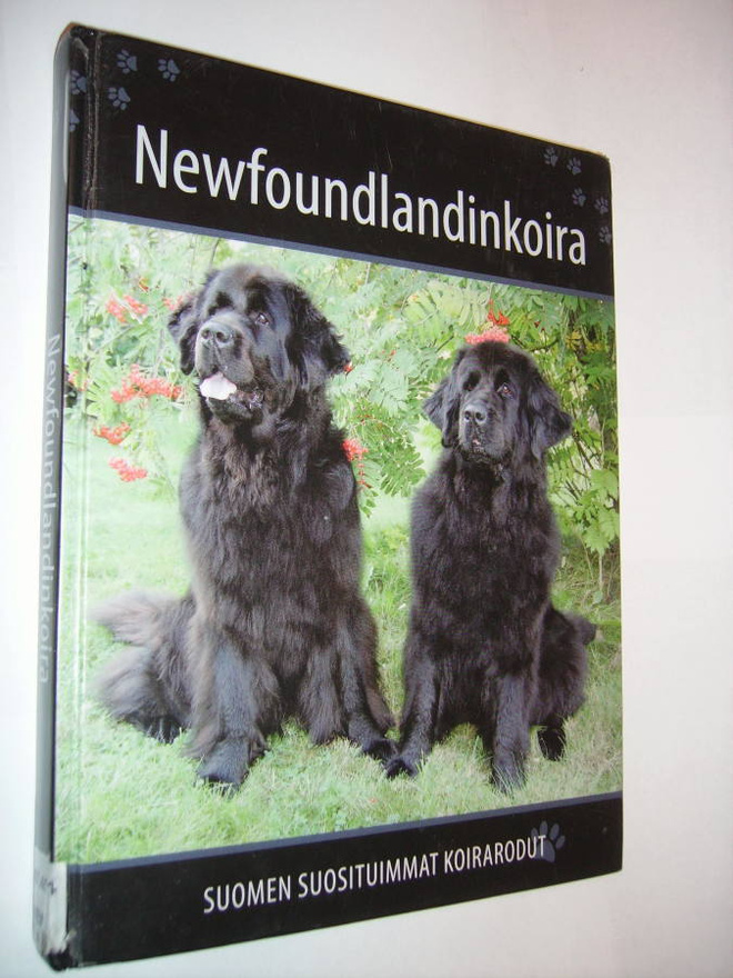 NEWFOUNDLANDINKOIRA (Suomen suosituimmat koirarodut) Sis.pk