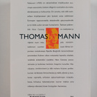 Thomas Mann : Taikavuori - pikkukuva 2