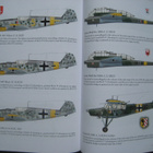 Air War Over Kursk - pikkukuva 5