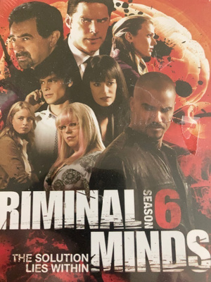 CRIMINAL MINDS - KAUSI 6