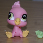 LITTLEST PET SHOP Siesta Perez vauva PAPUKAIJA, LINTU #3813 - pikkukuva 2