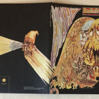  Jim Pembroke  Hot thumbs O'Riley - Wicked Ivory  LP - pikkukuva 2