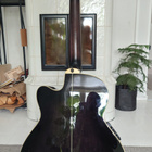 Ibanez AEL2012 - pikkukuva 2