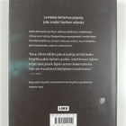 Sjon : Poika nimeltä Kuukivi - pikkukuva 2