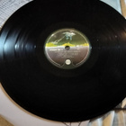 Black Sabbath - Never Say Die (LP) 2015 painos - pikkukuva 4