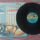 Hurriganes LP Sonet Use No Hooks - pikkukuva 1