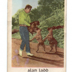 Purkkakuva Serie F n:o 1 ALAN LADD - pikkukuva 1