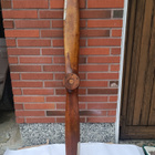 Hydrokopterin potkuri - pikkukuva 1