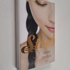 Danielle Steel : Veren perintö - pikkukuva 1