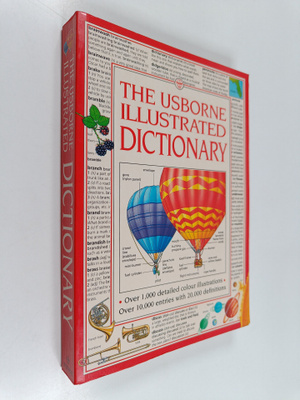 Jane Bingham : The Usborne Illustrated Dictionary