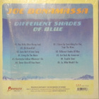JOE BONAMASSA - DIFFERENT SHADES OF BLUE - EU 2014 M/M LP - pikkukuva 2